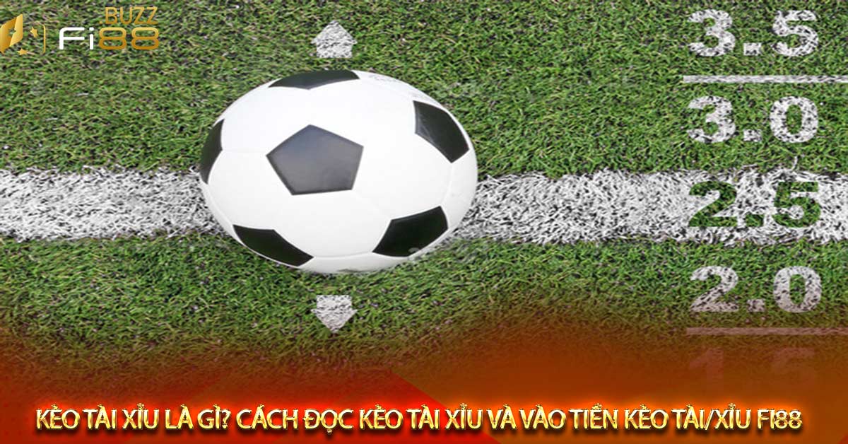 Cách tính tiền cược Tài Xỉu