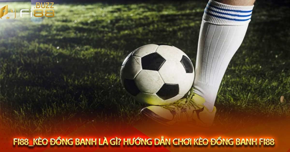 Cách tính tiền kèo đồng banh nhà cái Fi88
