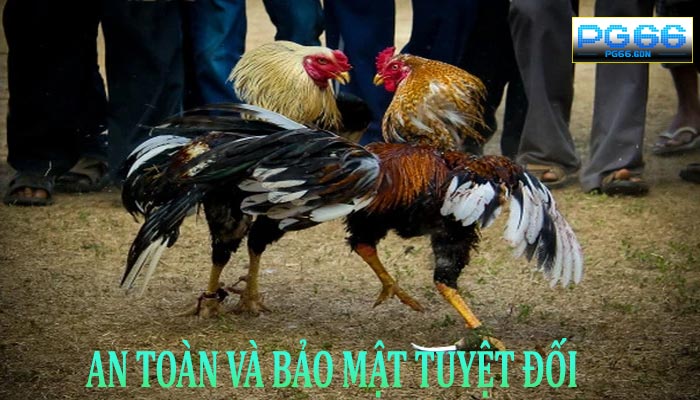 An Toàn và Bảo Mật Tuyệt Đối